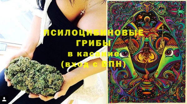 стаф Абдулино