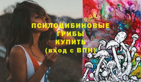 spice Абинск