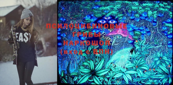 круглые Абаза