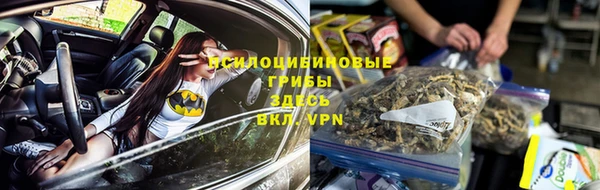 стафф Сатка