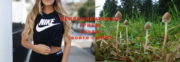 круглые Абаза