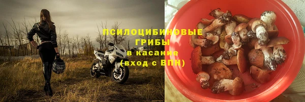 стаф Абдулино