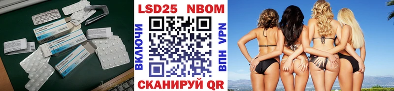 дарк нет телеграм  Анадырь  LSD-25 экстази кислота 
